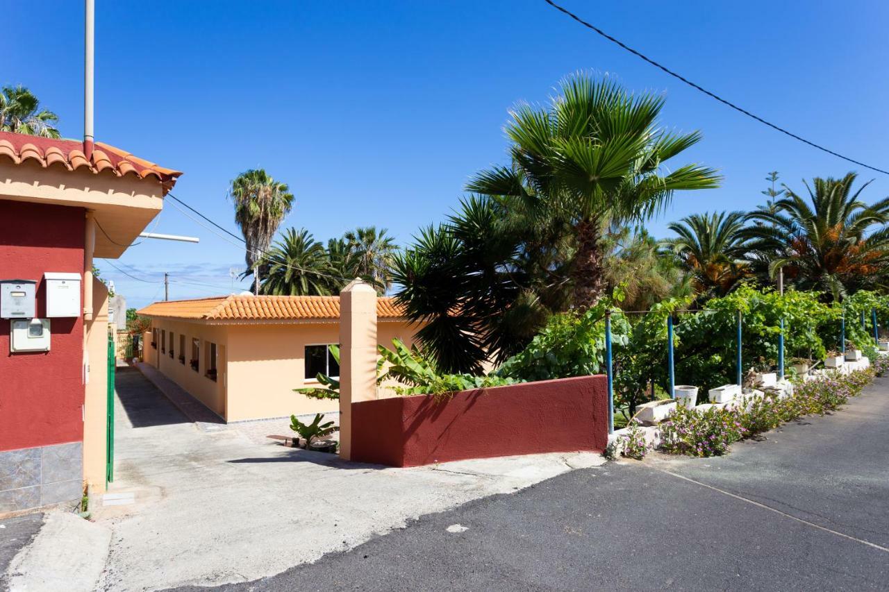 Finca La Gaviota - Las Palmeras Icod De Los Vinos Bagian luar foto
